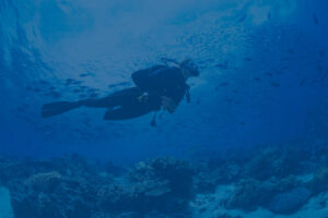 A scuba diver over a reef.